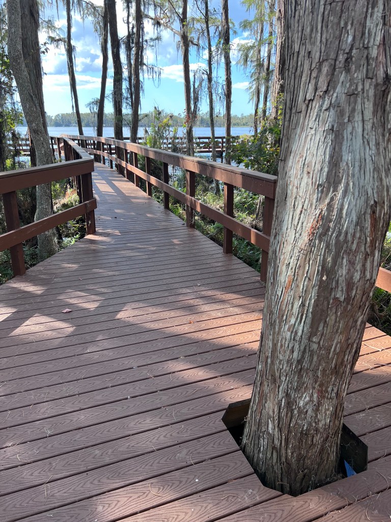 Lake Thomas Preserve Boardwalk